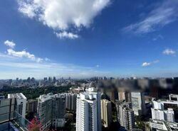 The Ritz-Carlton  (D9), Condominium #455333381